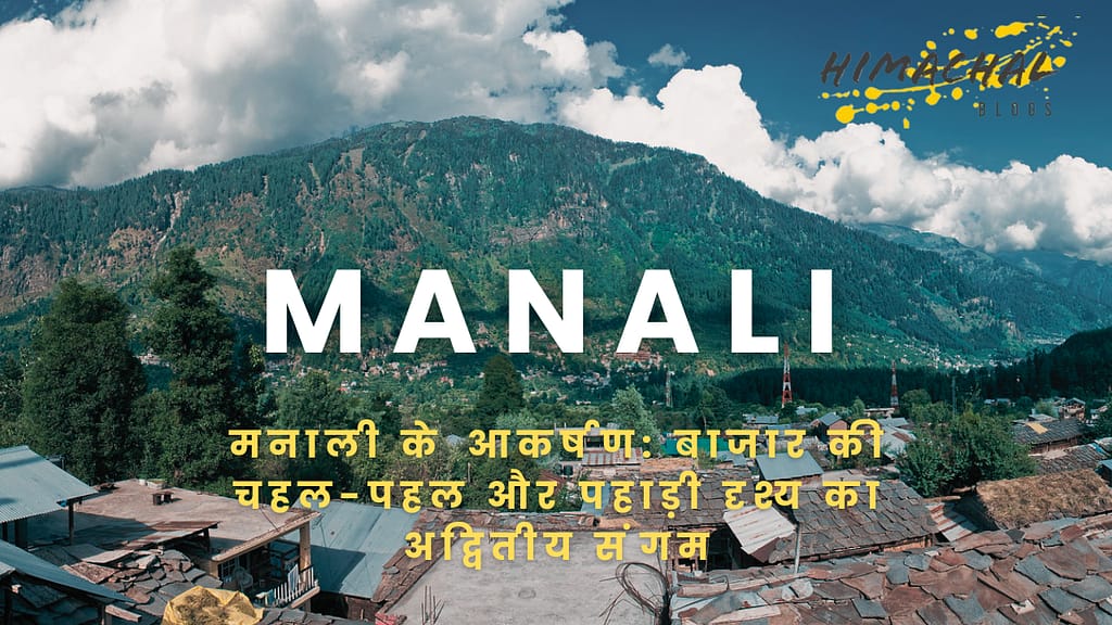 Manali Market