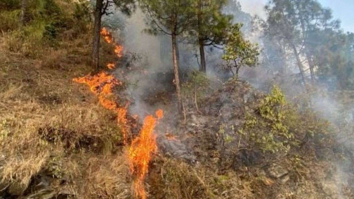 Himachal Forest Fire 